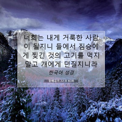 Picture 07 - 출애굽기 22:31 KOR - 너희는 내게 거룩한 사람이 될지니 - Bible Verse Picture