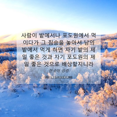 Picture 07 - 출애굽기 22:5 KOR - 사람이 밭에서나 포도원에서 - Bible Verse Picture