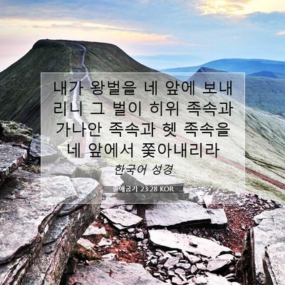 Picture 07 - 출애굽기 23:28 KOR - 내가 왕벌을 네 앞에 보내리니 그 - Bible Verse Picture