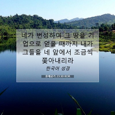 Picture 07 - 출애굽기 23:30 KOR - 네가 번성하여 그 땅을 기업으로 - Bible Verse Picture