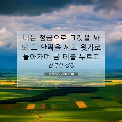 Picture 07 - 출애굽기 25:11 KOR - 너는 정금으로 그것을 싸되 그 - Bible Verse Picture