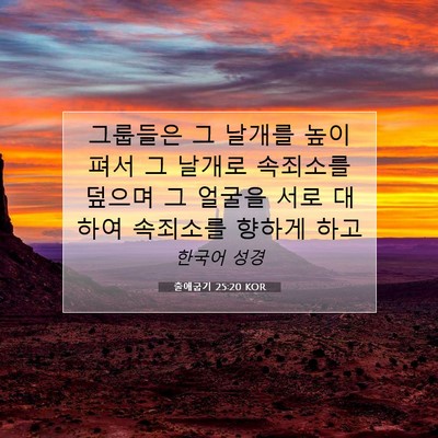 Picture 07 - 출애굽기 25:20 KOR - 그룹들은 그 날개를 높이 펴서 그 - Bible Verse Picture