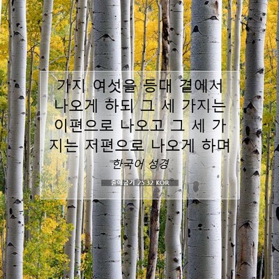 Picture 07 - 출애굽기 25:32 KOR - 가지 여섯을 등대 곁에서 나오게 - Bible Verse Picture