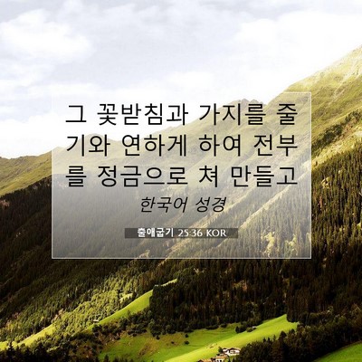 Picture 07 - 출애굽기 25:36 KOR - 그 꽃받침과 가지를 줄기와 연하게 - Bible Verse Picture