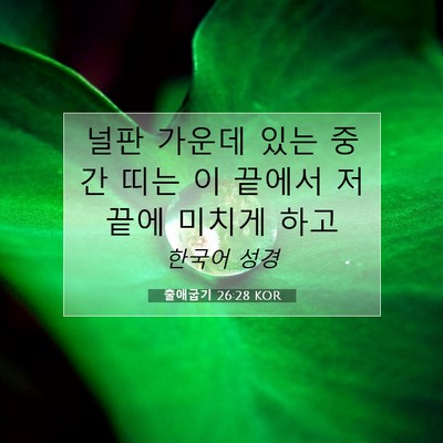 Picture 07 - 출애굽기 26:28 KOR - 널판 가운데 있는 중간 띠는 이 - Bible Verse Picture