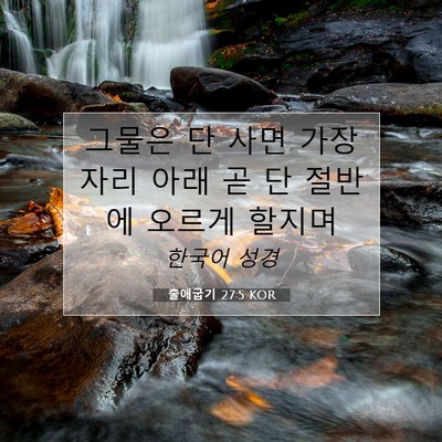 Picture 07 - 출애굽기 27:5 KOR - 그물은 단 사면 가장자리 아래 곧 단 - Bible Verse Picture