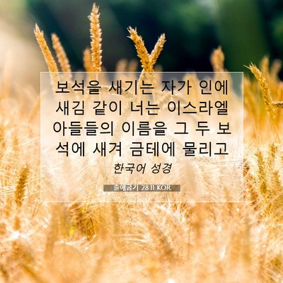 Picture 07 - 출애굽기 28:11 KOR - 보석을 새기는 자가 인에 새김 같이 - Bible Verse Picture
