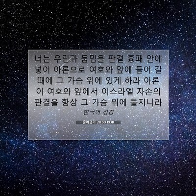 Picture 07 - 출애굽기 28:30 KOR - 너는 우림과 둠밈을 판결 흉패 안에 - Bible Verse Picture