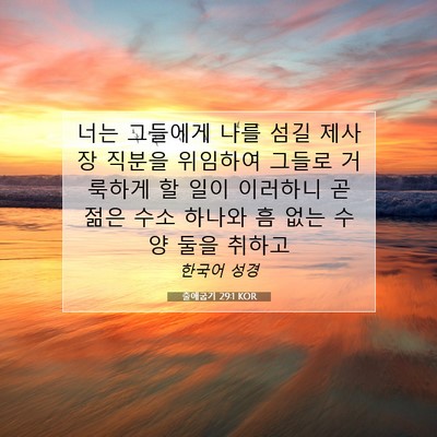 Picture 07 - 출애굽기 29:1 KOR - 너는 그들에게 나를 섬길 제사장 - Bible Verse Picture