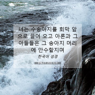 Picture 07 - 출애굽기 29:10 KOR - 너는 수송아지를 회막 앞으로 끌어 - Bible Verse Picture