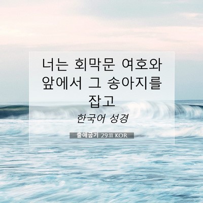 Picture 07 - 출애굽기 29:11 KOR - 너는 회막문 여호와 앞에서 그 - Bible Verse Picture