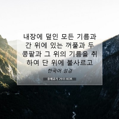 Picture 07 - 출애굽기 29:13 KOR - 내장에 덮인 모든 기름과 간 위에 - Bible Verse Picture