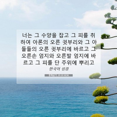 Picture 07 - 출애굽기 29:20 KOR - 너는 그 수양을 잡고 그 피를 취하여 - Bible Verse Picture