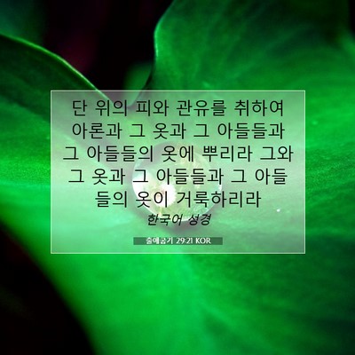 Picture 07 - 출애굽기 29:21 KOR - 단 위의 피와 관유를 취하여 아론과 - Bible Verse Picture