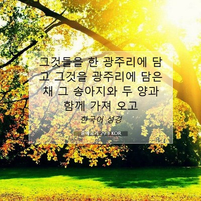 Picture 07 - 출애굽기 29:3 KOR - 그것들을 한 광주리에 담고 그것을 - Bible Verse Picture