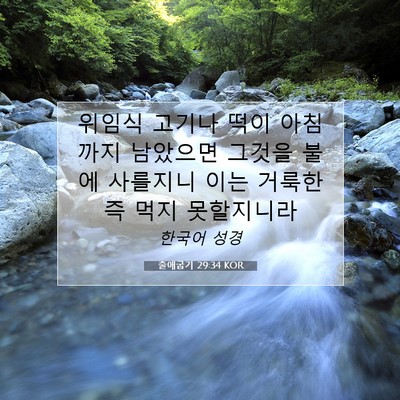 Picture 07 - 출애굽기 29:34 KOR - 위임식 고기나 떡이 아침까지 - Bible Verse Picture