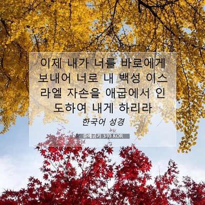 Picture 07 - 출애굽기 3:10 KOR - 이제 내가 너를 바로에게 보내어 - Bible Verse Picture
