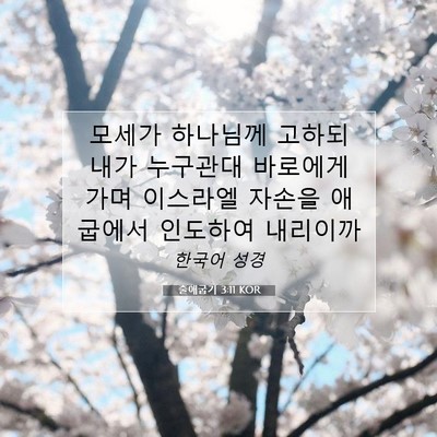 Picture 07 - 출애굽기 3:11 KOR - 모세가 하나님께 고하되 내가 - Bible Verse Picture