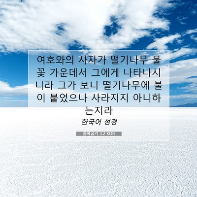 Picture 07 - 출애굽기 3:2 KOR - 여호와의 사자가 떨기나무 불꽃 - Bible Verse Picture