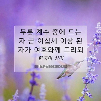 Picture 07 - 출애굽기 30:14 KOR - 무릇 계수 중에 드는 자 곧 이십세 - Bible Verse Picture