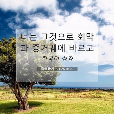 Picture 07 - 출애굽기 30:26 KOR - 너는 그것으로 회막과 증거궤에 - Bible Verse Picture