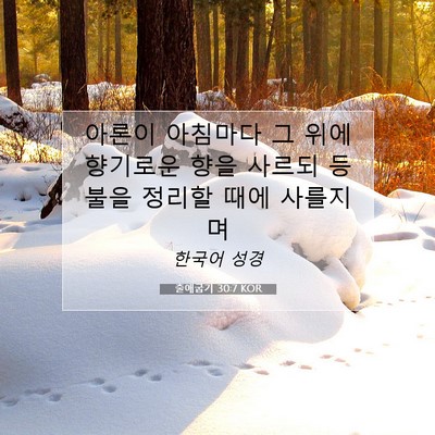 Picture 07 - 출애굽기 30:7 KOR - 아론이 아침마다 그 위에 향기로운 - Bible Verse Picture