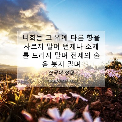 Picture 07 - 출애굽기 30:9 KOR - 너희는 그 위에 다른 향을 사르지 - Bible Verse Picture