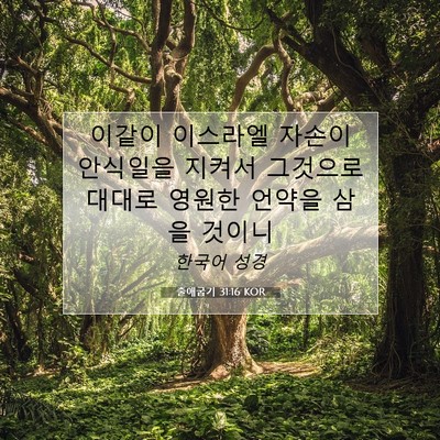 Picture 07 - 출애굽기 31:16 KOR - 이같이 이스라엘 자손이 안식일을 - Bible Verse Picture