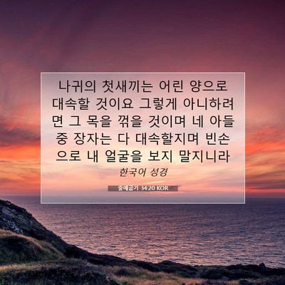 Picture 07 - 출애굽기 34:20 KOR - 나귀의 첫새끼는 어린 양으로 대속할 - Bible Verse Picture