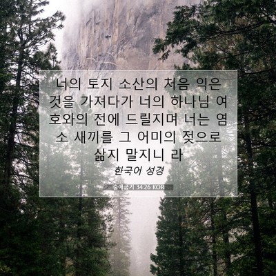 Picture 07 - 출애굽기 34:26 KOR - 너의 토지 소산의 처음 익은 것을 - Bible Verse Picture