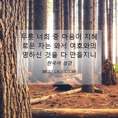 Picture 07 - 출애굽기 35:10 KOR - 무릇 너희 중 마음이 지혜로운 자는 - Bible Verse Picture