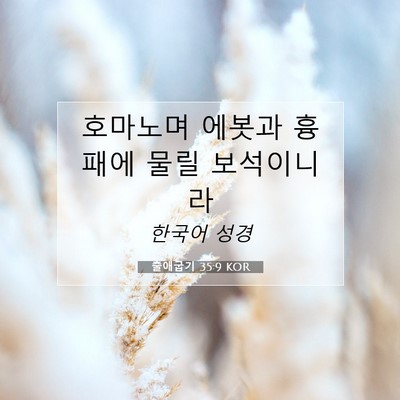 Picture 07 - 출애굽기 35:9 KOR - 호마노며 에봇과 흉패에 물릴 - Bible Verse Picture