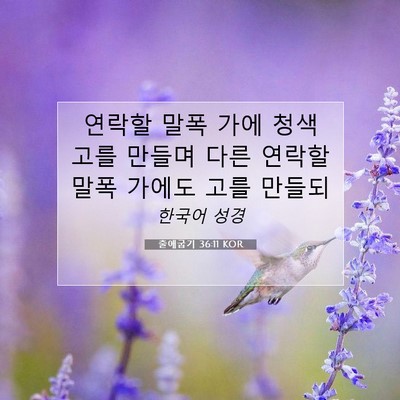 Picture 07 - 출애굽기 36:11 KOR - 연락할 말폭 가에 청색 고를 만들며 - Bible Verse Picture