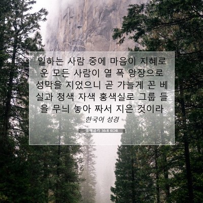 Picture 07 - 출애굽기 36:8 KOR - 일하는 사람 중에 마음이 지혜로운 - Bible Verse Picture