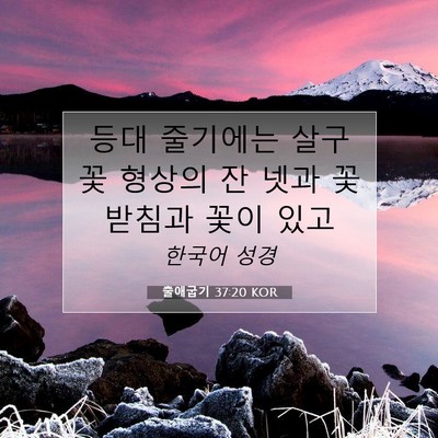 Picture 07 - 출애굽기 37:20 KOR - 등대 줄기에는 살구꽃 형상의 잔 - Bible Verse Picture