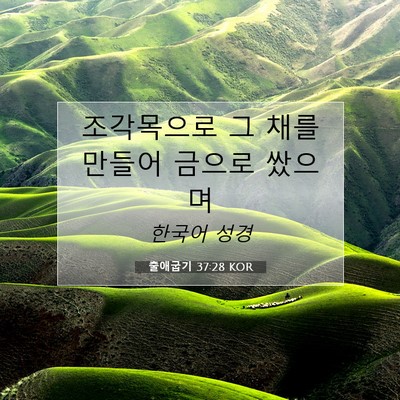 Picture 07 - 출애굽기 37:28 KOR - 조각목으로 그 채를 만들어 금으로 - Bible Verse Picture