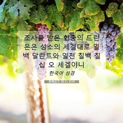 Picture 07 - 출애굽기 38:25 KOR - 조사를 받은 회중의 드린 은은 - Bible Verse Picture