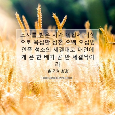 Picture 07 - 출애굽기 38:26 KOR - 조사를 받은 자가 이십세 이상으로 - Bible Verse Picture
