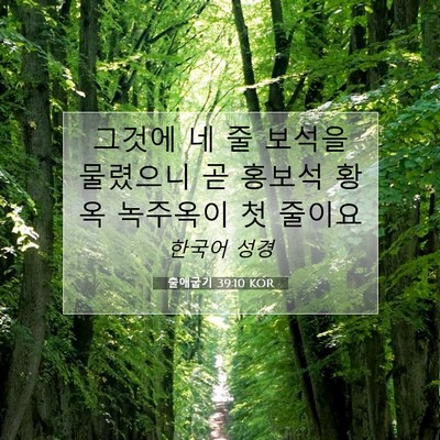 Picture 07 - 출애굽기 39:10 KOR - 그것에 네 줄 보석을 물렸으니 곧 - Bible Verse Picture
