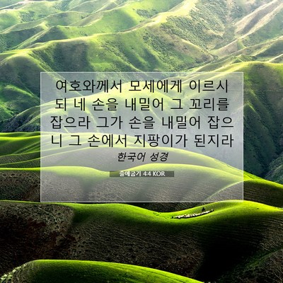 Picture 07 - 출애굽기 4:4 KOR - 여호와께서 모세에게 이르시되 네 - Bible Verse Picture