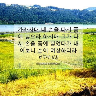 Picture 07 - 출애굽기 4:7 KOR - 가라사대 네 손을 다시 품에 넣으라 - Bible Verse Picture