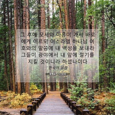 Picture 07 - 출애굽기 5:1 KOR - 그 후에 모세와 아론이 가서 - Bible Verse Picture