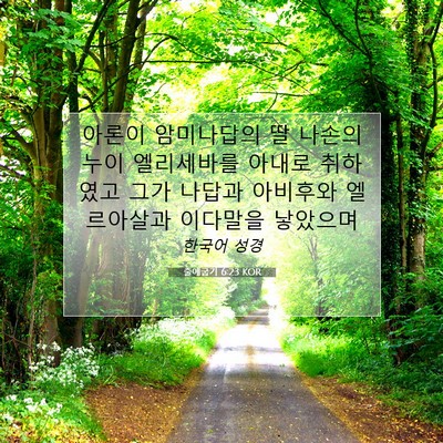 Picture 07 - 출애굽기 6:23 KOR - 아론이 암미나답의 딸 나손의 누이 - Bible Verse Picture