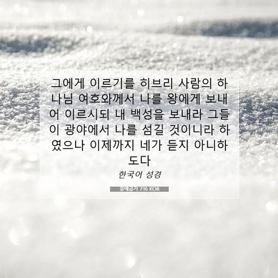 Picture 07 - 출애굽기 7:16 KOR - 그에게 이르기를 히브리 사람의 - Bible Verse Picture