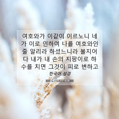 Picture 07 - 출애굽기 7:17 KOR - 여호와가 이같이 이르노니 네가 이로 - Bible Verse Picture