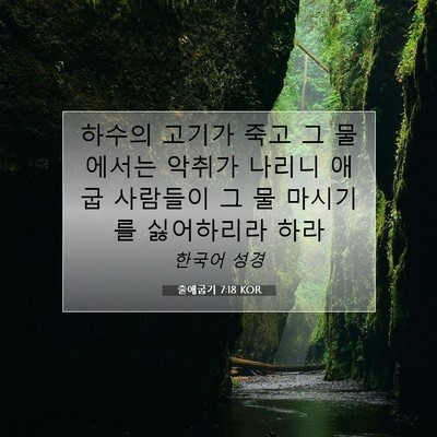 Picture 07 - 출애굽기 7:18 KOR - 하수의 고기가 죽고 그 물에서는 - Bible Verse Picture