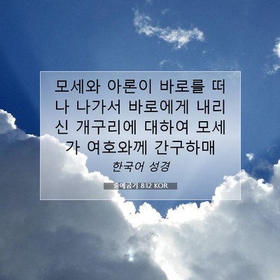 Picture 07 - 출애굽기 8:12 KOR - 모세와 아론이 바로를 떠나 나가서 - Bible Verse Picture