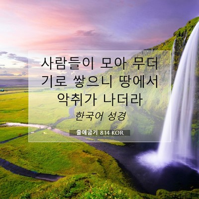 Picture 07 - 출애굽기 8:14 KOR - 사람들이 모아 무더기로 쌓으니 - Bible Verse Picture