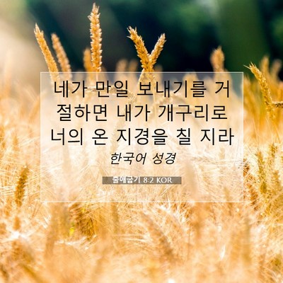 Picture 07 - 출애굽기 8:2 KOR - 네가 만일 보내기를 거절하면 내가 - Bible Verse Picture