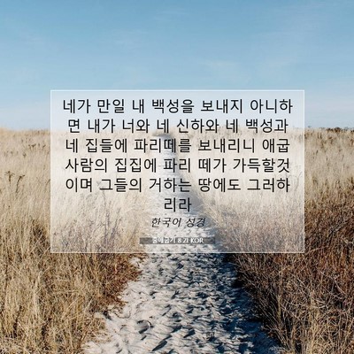 Picture 07 - 출애굽기 8:21 KOR - 네가 만일 내 백성을 보내지 - Bible Verse Picture